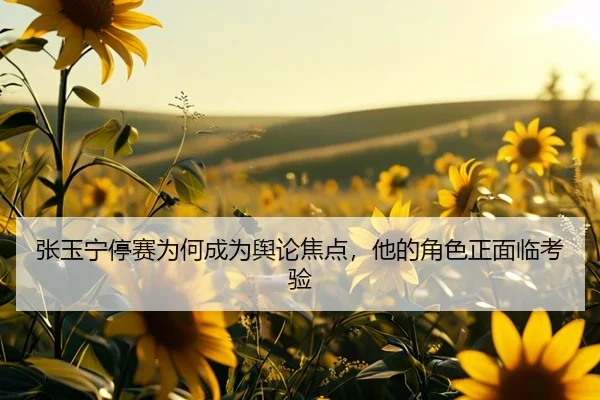 zhang-yu-ning-ting-sai-wei-he-cheng-wei-yu-lun-jiao-dian-ta-de-jue-se-zheng-mian-lin-kao-yan-2-677.jpg
